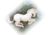 Einhorn