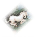 Einhorn