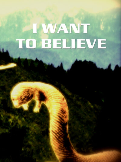 Tatzelwurm: I want to believe
