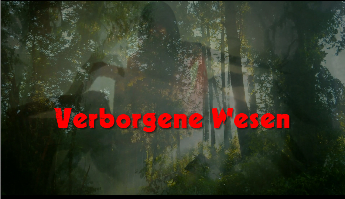 Verborgene Wesen