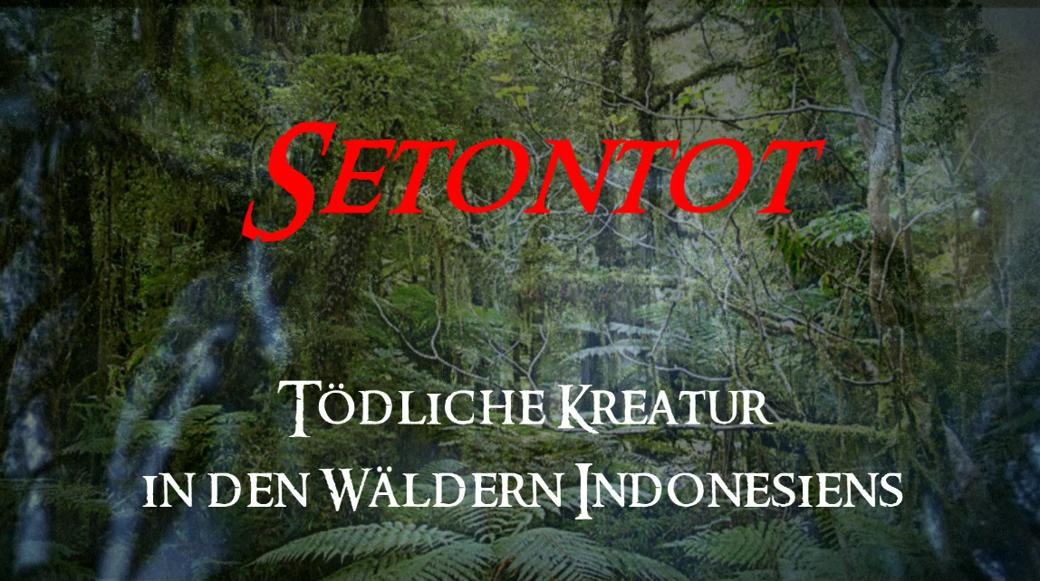 Der Setontot