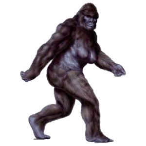 Bigfoot