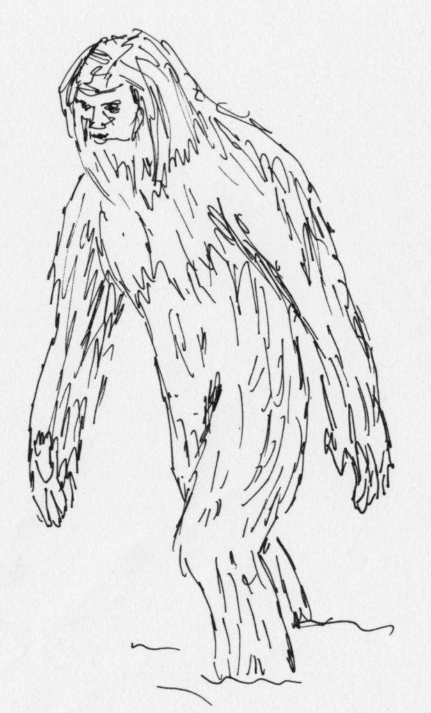 Yeti