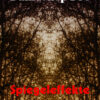 Spiegeleffekte für PaintShop Pro