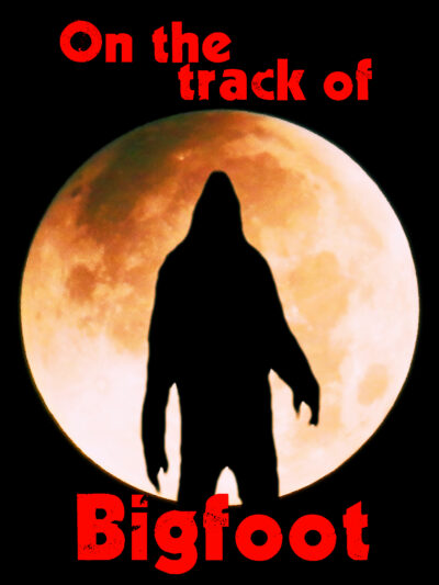 On the track of Bigfoot