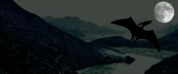 Der Ropen von Umboi Island