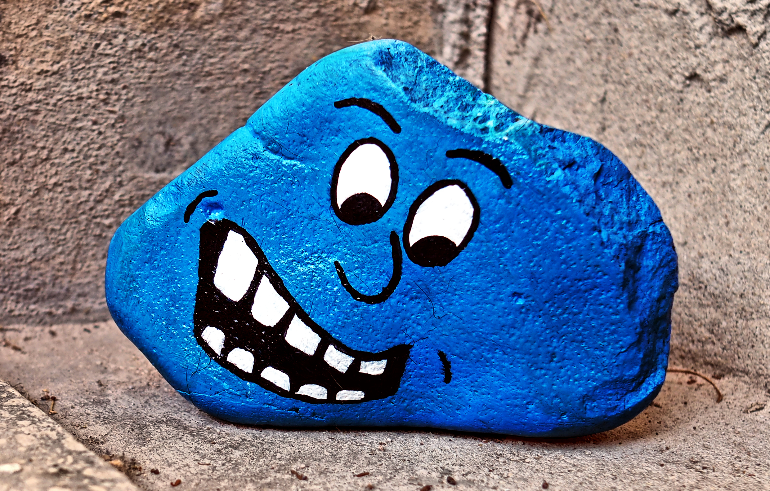 Blue Stonehead