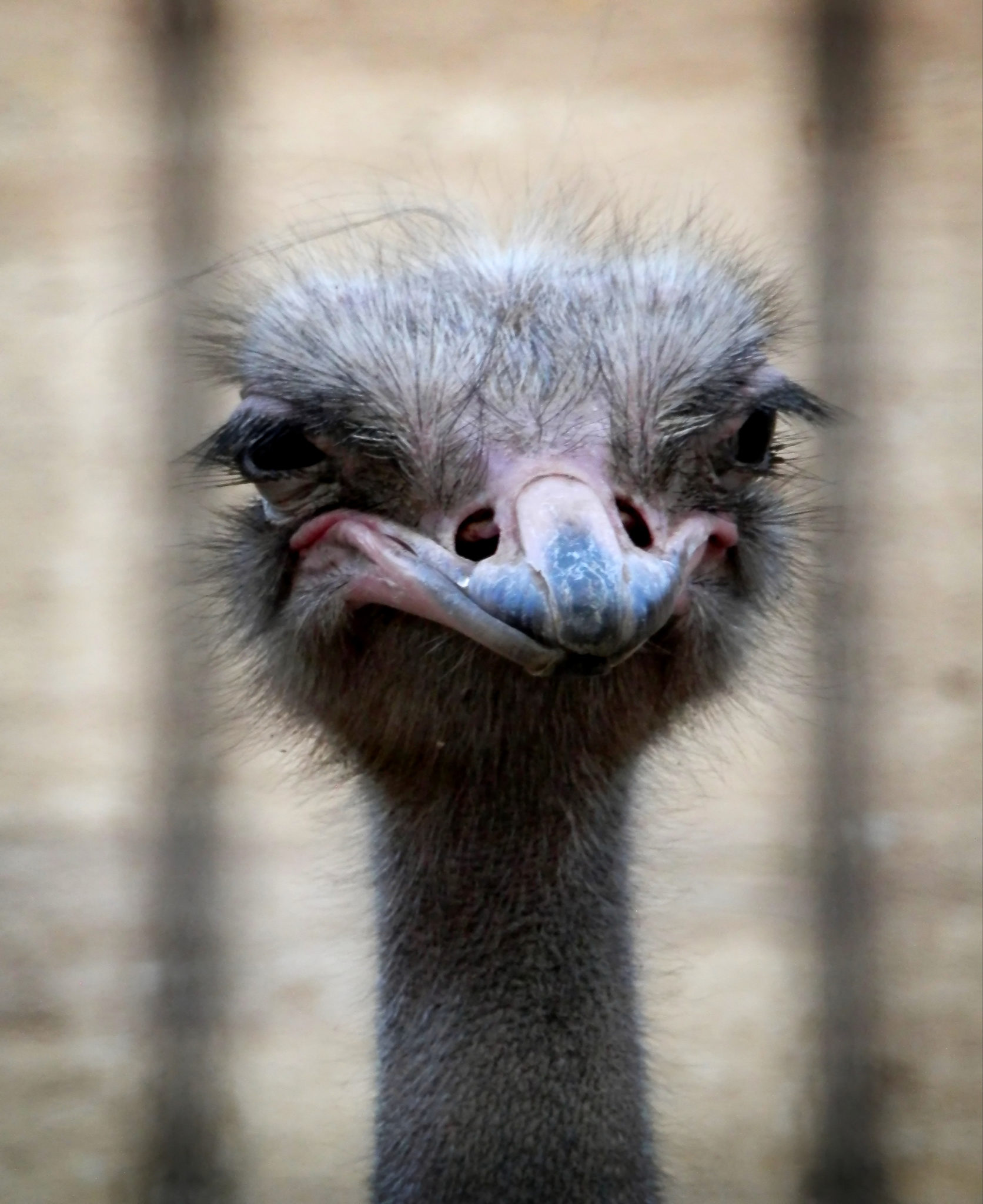 Michael Schneider Fotografie TwilightLine Medien