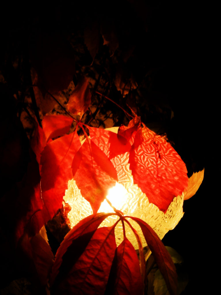 Herbstlichter