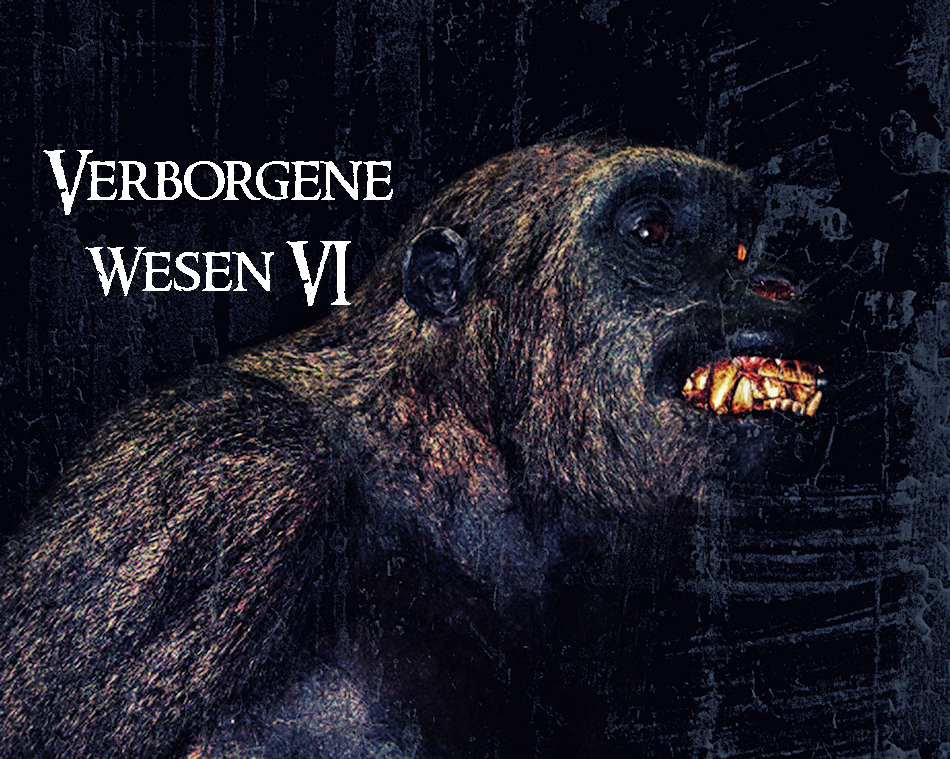 Verborgene Wesen VI