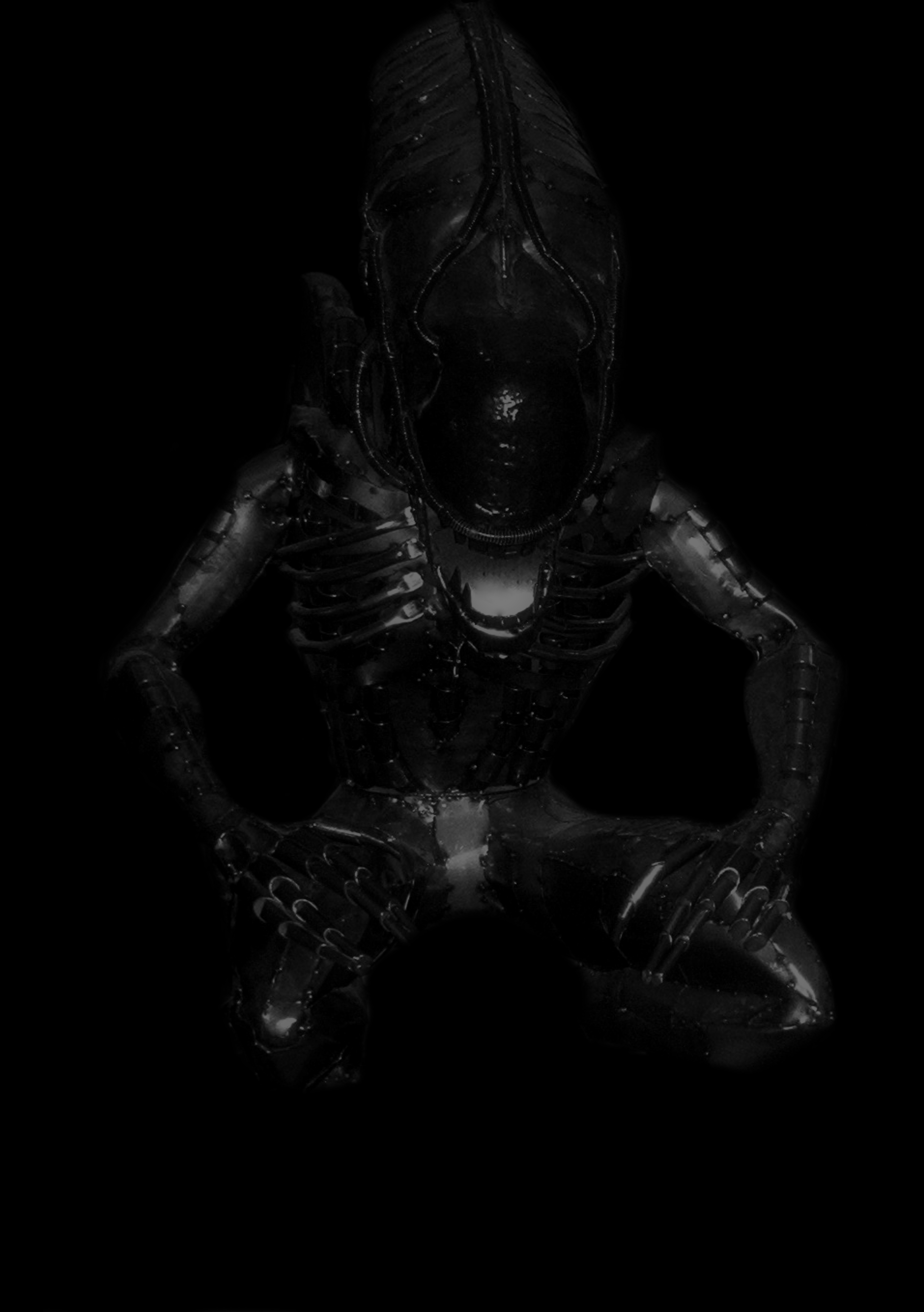 Xenomorph