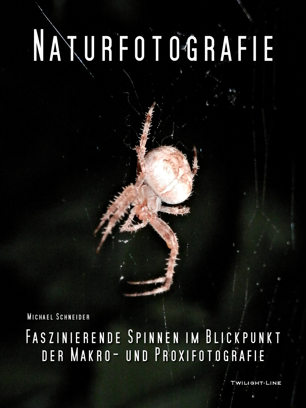 Naturfotografie: Spinnen