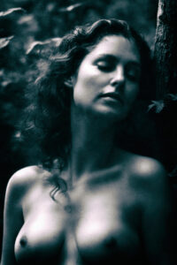 Einklang der Elemente