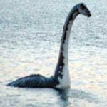 Profilbild von Nessie